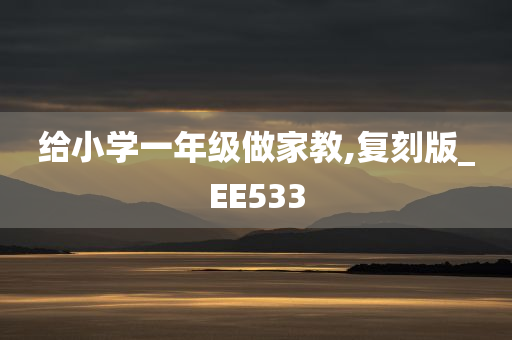 给小学一年级做家教,复刻版_EE533