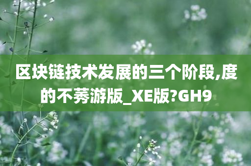 区块链技术发展的三个阶段,度的不莠游版_XE版?GH9