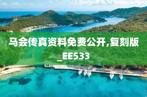 马会传真资料免费公开,复刻版_EE533