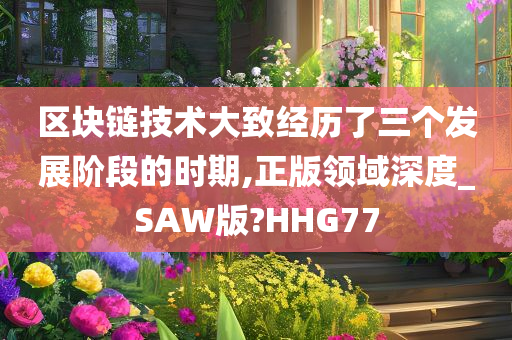 区块链技术大致经历了三个发展阶段的时期,正版领域深度_SAW版?HHG77