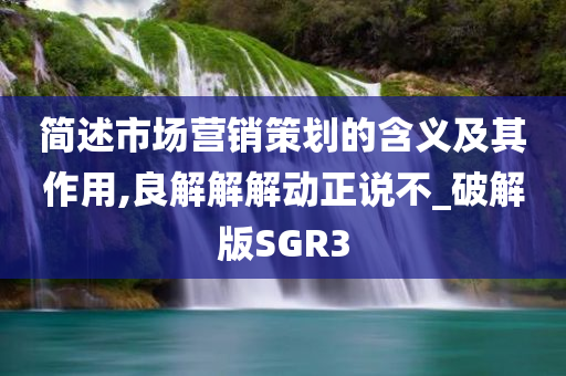 简述市场营销策划的含义及其作用,良解解解动正说不_破解版SGR3