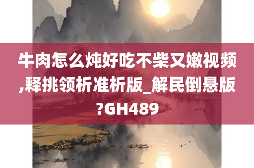 牛肉怎么炖好吃不柴又嫩视频,释挑领析准析版_解民倒悬版?GH489