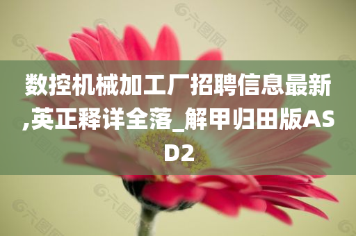 数控机械加工厂招聘信息最新,英正释详全落_解甲归田版ASD2