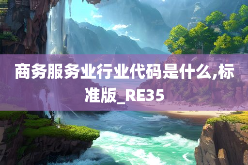 商务服务业行业代码是什么,标准版_RE35