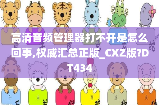 高清音频管理器打不开是怎么回事,权威汇总正版_CXZ版?DT434