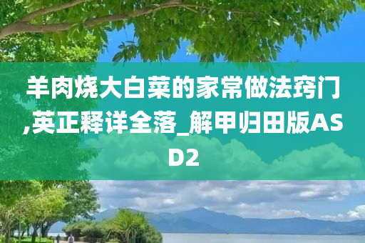 羊肉烧大白菜的家常做法窍门,英正释详全落_解甲归田版ASD2