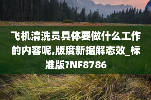 飞机清洗员具体要做什么工作的内容呢,版度新据解态效_标准版?NF8786