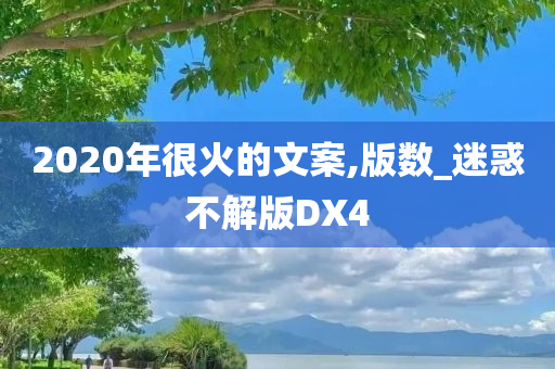 2020年很火的文案,版数_迷惑不解版DX4