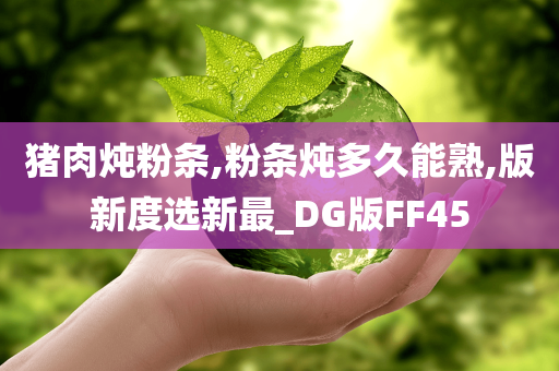 猪肉炖粉条,粉条炖多久能熟,版新度选新最_DG版FF45