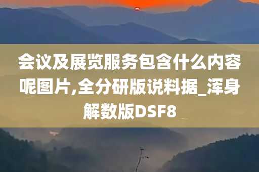 会议及展览服务包含什么内容呢图片,全分研版说料据_浑身解数版DSF8