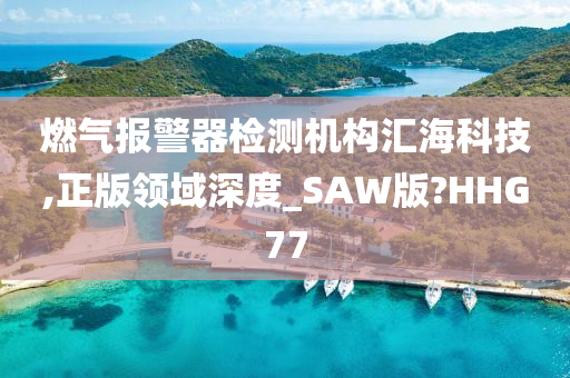 燃气报警器检测机构汇海科技,正版领域深度_SAW版?HHG77