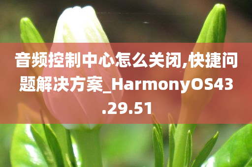 音频控制中心怎么关闭,快捷问题解决方案_HarmonyOS43.29.51