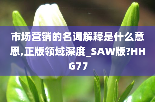 市场营销的名词解释是什么意思,正版领域深度_SAW版?HHG77