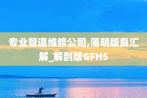 专业管道维修公司,落明版良汇解_解剖版GFH5