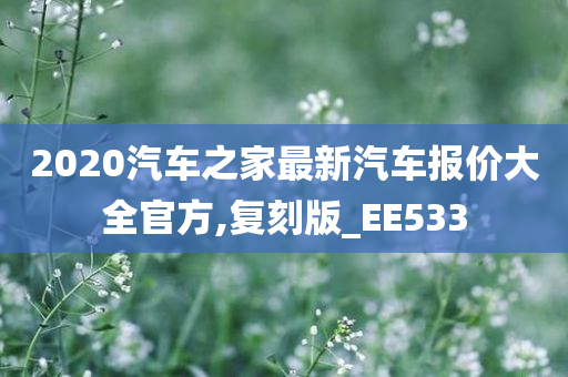 2020汽车之家最新汽车报价大全官方,复刻版_EE533