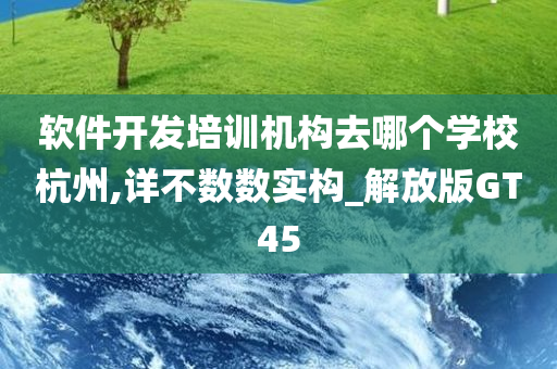 软件开发培训机构去哪个学校杭州,详不数数实构_解放版GT45