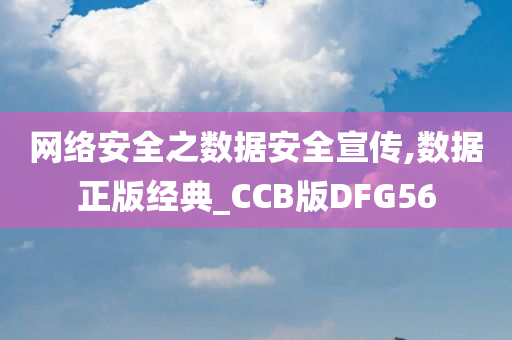 网络安全之数据安全宣传,数据正版经典_CCB版DFG56