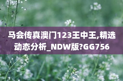 马会传真澳门123王中王,精选动态分析_NDW版?GG756