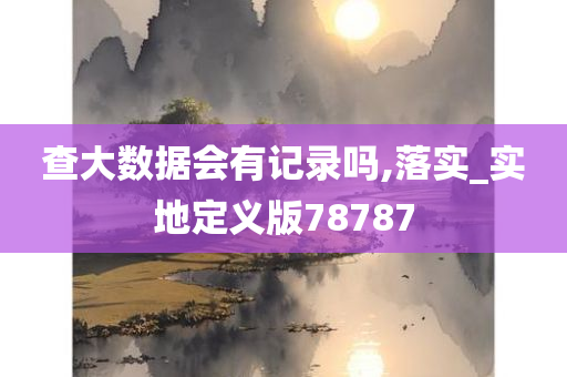 查大数据会有记录吗,落实_实地定义版78787