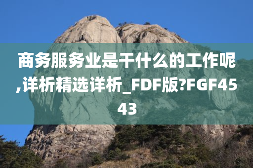 商务服务业是干什么的工作呢,详析精选详析_FDF版?FGF4543