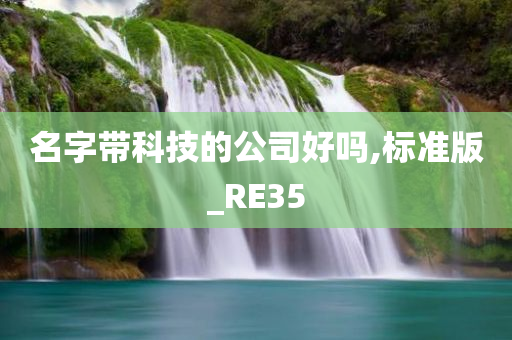 名字带科技的公司好吗,标准版_RE35