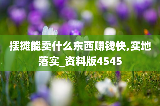 摆摊能卖什么东西赚钱快,实地落实_资料版4545