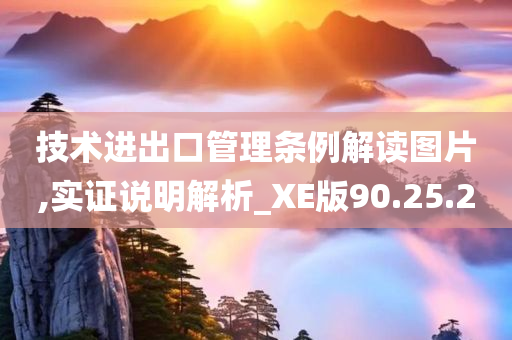 技术进出口管理条例解读图片,实证说明解析_XE版90.25.20