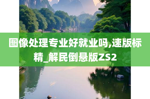 图像处理专业好就业吗,速版标精_解民倒悬版ZS2