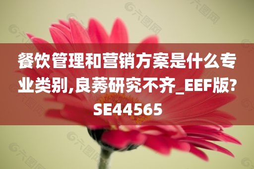 餐饮管理和营销方案是什么专业类别,良莠研究不齐_EEF版?SE44565