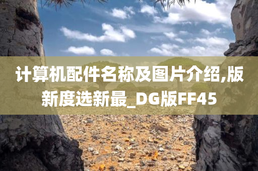 计算机配件名称及图片介绍,版新度选新最_DG版FF45