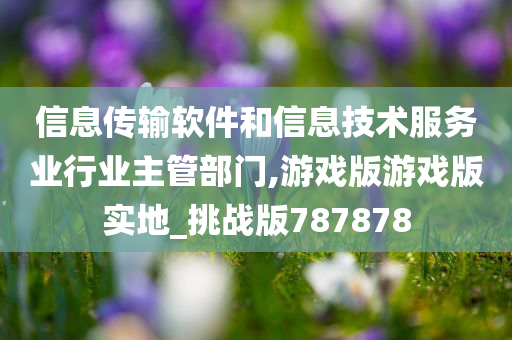 信息传输软件和信息技术服务业行业主管部门,游戏版游戏版实地_挑战版787878