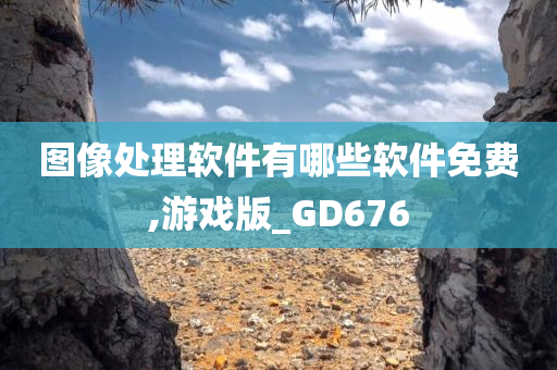 图像处理软件有哪些软件免费,游戏版_GD676