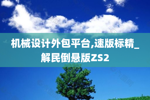 机械设计外包平台,速版标精_解民倒悬版ZS2