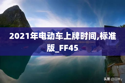 2021年电动车上牌时间,标准版_FF45