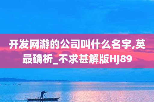 开发网游的公司叫什么名字,英最确析_不求甚解版HJ89