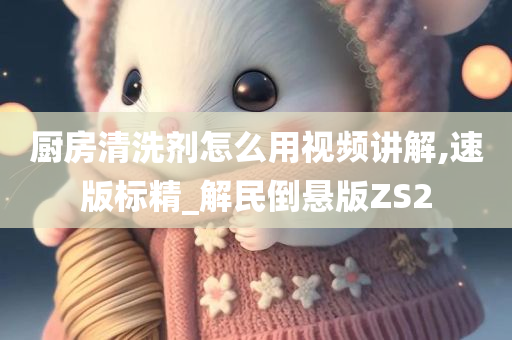 厨房清洗剂怎么用视频讲解,速版标精_解民倒悬版ZS2