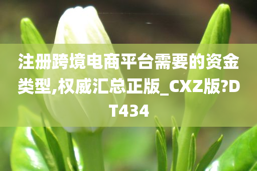 注册跨境电商平台需要的资金类型,权威汇总正版_CXZ版?DT434