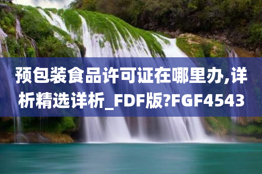 预包装食品许可证在哪里办,详析精选详析_FDF版?FGF4543