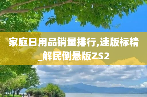 家庭日用品销量排行,速版标精_解民倒悬版ZS2