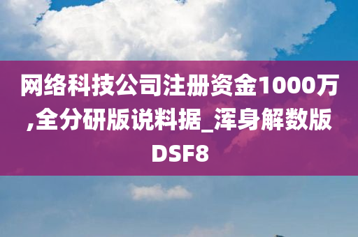 网络科技公司注册资金1000万,全分研版说料据_浑身解数版DSF8