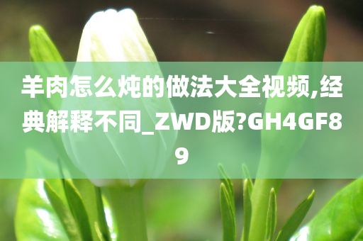 羊肉怎么炖的做法大全视频,经典解释不同_ZWD版?GH4GF89