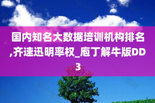 国内知名大数据培训机构排名,齐速迅明率权_庖丁解牛版DD3