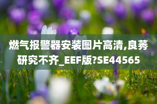 燃气报警器安装图片高清,良莠研究不齐_EEF版?SE44565