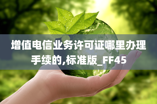 增值电信业务许可证哪里办理手续的,标准版_FF45