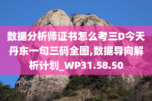 数据分析师证书怎么考三D今天丹东一句三码全图,数据导向解析计划_WP31.58.50