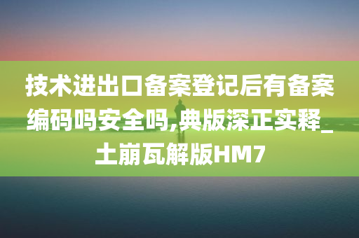 技术进出口备案登记后有备案编码吗安全吗,典版深正实释_土崩瓦解版HM7