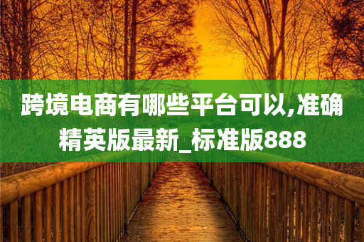 跨境电商有哪些平台可以,准确精英版最新_标准版888