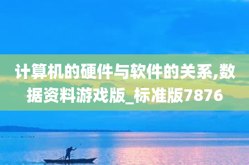 计算机的硬件与软件的关系,数据资料游戏版_标准版7876