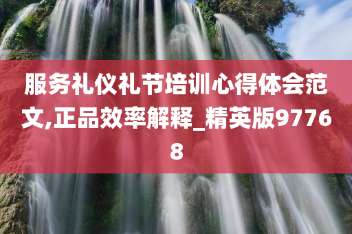 服务礼仪礼节培训心得体会范文,正品效率解释_精英版97768