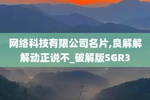 网络科技有限公司名片,良解解解动正说不_破解版SGR3